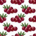 seamless pattern with berries of cranberry