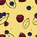 Seamless pattern with berries. Hand-Drawn Raspberries and Blueberries
