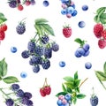 Seamless pattern, berry background of blackberries, raspberries and blueberries, watercolor botanical illustration