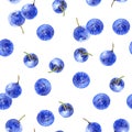 Seamless pattern with bilberry