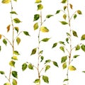 Seamless pattern with birch branches Royalty Free Stock Photo