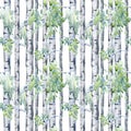 Seamless pattern of a birch tree.Deciduous tree.Watercolo Royalty Free Stock Photo