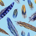 Seamless pattern from bird feathers on a blue background, watercolor drawing. Royalty Free Stock Photo