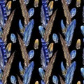 Seamless pattern from bird`s feathers on a black background Royalty Free Stock Photo