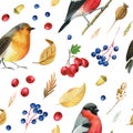 Seamless pattern with birds bullfinches, robin. Autumn leaves watercolor, isolated background, hand drawing