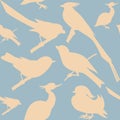 Seamless pattern with birds