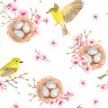 Seamless pattern with birds, nests and cherry blossoms. watercolor drawing.