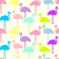 Seamless pattern with birds. Flamingo. Vector wallpaper. Royalty Free Stock Photo