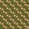 Seamless pattern with bitter golden onion on green background. Summer farm vegitables. Natural fresh bright bunch of