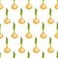 Seamless pattern with bitter golden onion on white background. Summer farm vegitables. Natural fresh bright bunch of