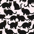 Seamless Pattern of Black Cats on a Light Pink Background Royalty Free Stock Photo