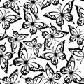 seamless pattern of black contours of butterflies on a white background, texture Royalty Free Stock Photo