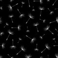 Seamless pattern black with dandelion fluff silhouette Royalty Free Stock Photo