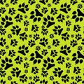 Seamless pattern black dog footprint with claws isolated on green background.