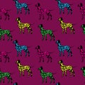 Seamless pattern, black dogs silhouettes with color dots, Dalmatian on purple background. Animal art design.
