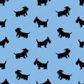 Seamless pattern with black dogs silhouettes, scotchterrier on b