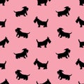 Seamless pattern with black dogs silhouettes, scotchterrier on p