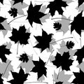 Seamless pattern black gray white maple leaves silhouette collection. nature scandinavian style background. decor trend of the Royalty Free Stock Photo