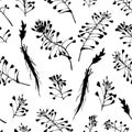 Seamless pattern with black hand drawn silhouette of Shepherds Purse, lives and flowers isolated on white background. Retro