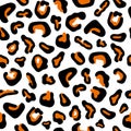 Seamless pattern with black jaguar leopard animal skin print texture fur Royalty Free Stock Photo