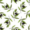 Seamless pattern with black olives. Vector branches, leaves and olives. Royalty Free Stock Photo
