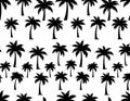 Seamless pattern of black palm trees silhouettes on a white background, tropical vacation theme Royalty Free Stock Photo