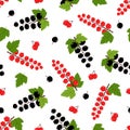 Seamless pattern of black and red currants, vector illustration of a bunch of berries