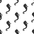 Seamless pattern with black sea-horse or hippocampus on white background