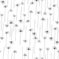 Seamless pattern with black silhouette of fennel on a white background