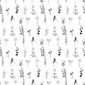 Seamless pattern with black silhouettes of wild plants, herbs and flowers. Monohrome