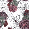 Seamless pattern black spider with cobweb and dark roses flowers and leaves isolated on white background. Watercolor Royalty Free Stock Photo