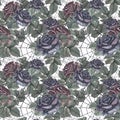 Seamless pattern black spider with cobweb and dark roses flowers and leaves isolated on white background. Watercolor Royalty Free Stock Photo