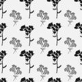 Seamless pattern with black sprigs of wildflowers on a white background