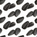Seamless pattern of black sunflower seeds Royalty Free Stock Photo