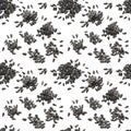 Seamless pattern of black sunflower seeds Royalty Free Stock Photo