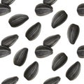 Seamless pattern of black sunflower seeds isolated on white background Royalty Free Stock Photo