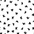 Seamless pattern with black swallow silhouette on white background. Cute bird in flight. Vector illustration. Doodle Royalty Free Stock Photo