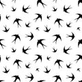 Seamless pattern with black swallows on white. Vector illustration.