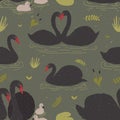 Seamless pattern with black swans and brood of cygnets floating in pond or lake among water plants. Backdrop with wild