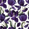 Spring blooming navy blue tulip flowers, leaves and flowers seamless pattern