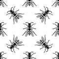 Seamless pattern of black wasp on yellow background