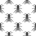 Seamless pattern of black wasp on yellow background