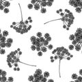 Seamless pattern with black and white angelica