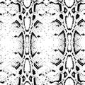 Seamless pattern black on white background. Snake skin texture. Vector