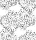 Seamless pattern black and white camomile flowers