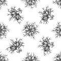 Seamless pattern with black and white black caraway