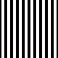 Seamless pattern black and white colors. Vertical pattern stripe abstract background vector illustration