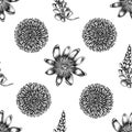 Seamless pattern with black and white dandelion, ginger, passion flower Royalty Free Stock Photo