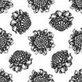 Seamless pattern with black and white etlingera Royalty Free Stock Photo