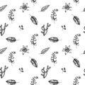 Seamless pattern with black and white ficus, iresine, kalanchoe, calathea, guzmania, cactus